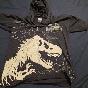 Jurassic Park Graphic Hoodie